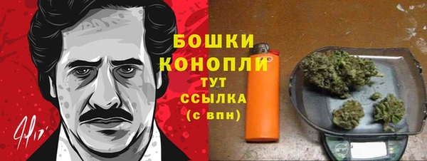 мдпв Михайлов